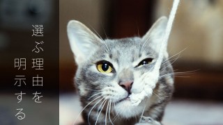 お客様の心をクイッと惹きつけるフックとは?