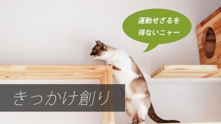 【魅せ方】○○だけで商品に付加価値を与える好例