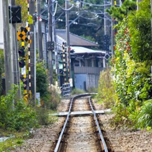 21日で習慣は定着するのか？どうやら習慣化は21日で身につくようです