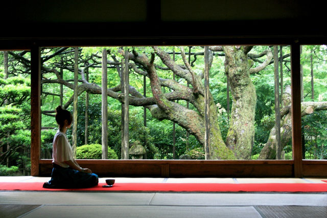 毎日一流に触れているか？ただぼんやり生きているか？