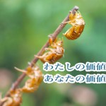 あなたを嫌いな人に、あなたを好きになってもらう必要はない