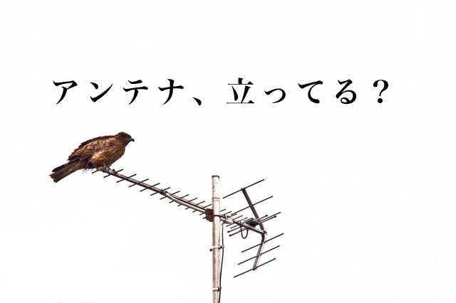 【集客方法】お客様と関係性を作るアイディア（現場体験）