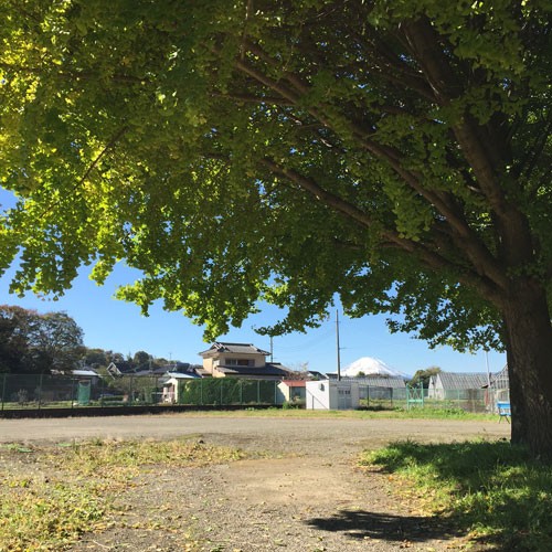 秦野市交通公園3