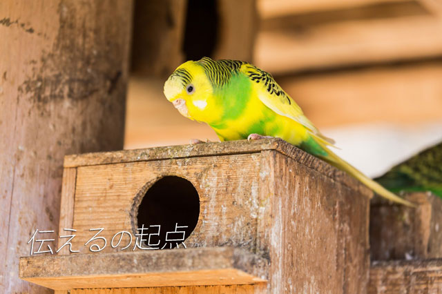 伝え方には2種類ある