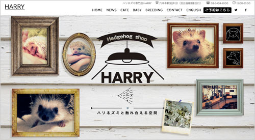 harry-webtop